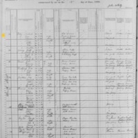 Michael Foley; 1880 Census