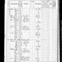 Peter Halpin; 1870 Census (2)