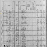 William Mulry; 1880 Census