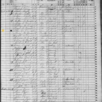 Peter McGinness; 1855 Census