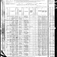 Daniel and Susan Bradley; 1880 Census