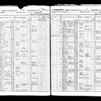 Elizabeth and Patrick McArdle; 1855 Census
