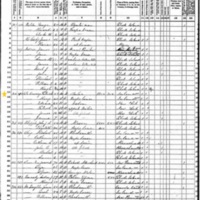 Patrick DeCourcy; 1870 Census