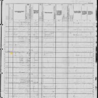 Ellen Bourke; 1880 Census